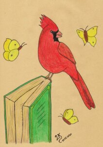 Red Kardinal Illustration Künstlerfarbstifte Polychromos