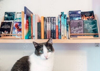 Die Katze Kiki steht vor dem Bücherregal mit den Büchern von Laura Kier