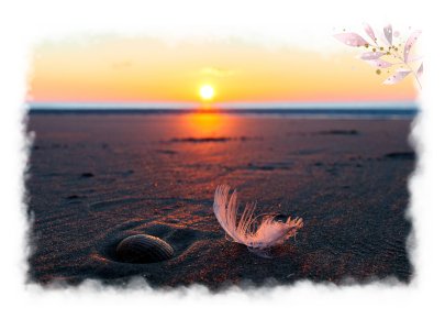 Feder und Muschel auf dem Strand beim Sonnenuntergang - im Hintergrund ist ein blauer Streifen Wasser zu erkennen, der Sand ist rot gefärbt ebenso wie der beinahe wolkenlose Himmel; die Sonne leuchtet gelb