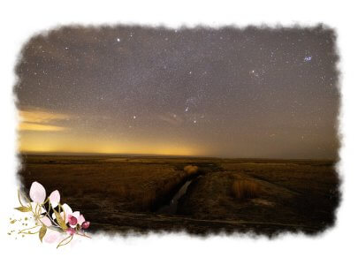 Sternenhimmel über den Salzwiesen in St. Peter Ording, in der Mitte des Bildes führt ein Priel in Richtung Horizont; Foto von Marvin @XerXerian auf Instagram