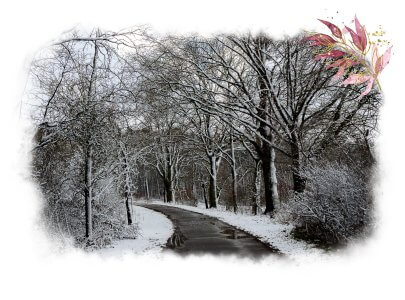 Weg im Schnee - Pfützen sind am Wegesrand zu sehen, die Äste der Bäume sind noch schneebedeckt